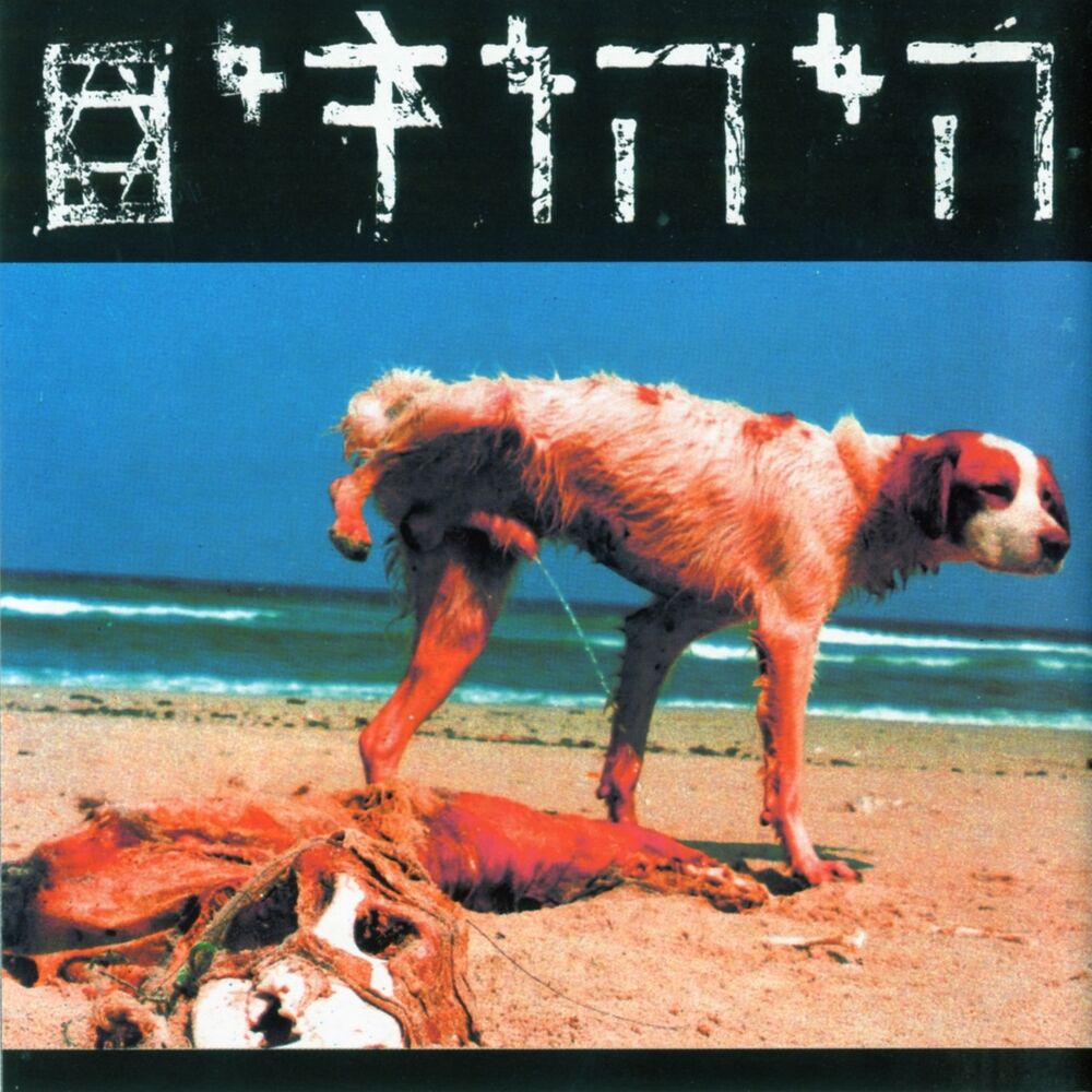 Picture of היהודים