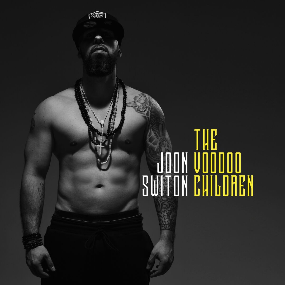 Album cover of The Voodoo Children