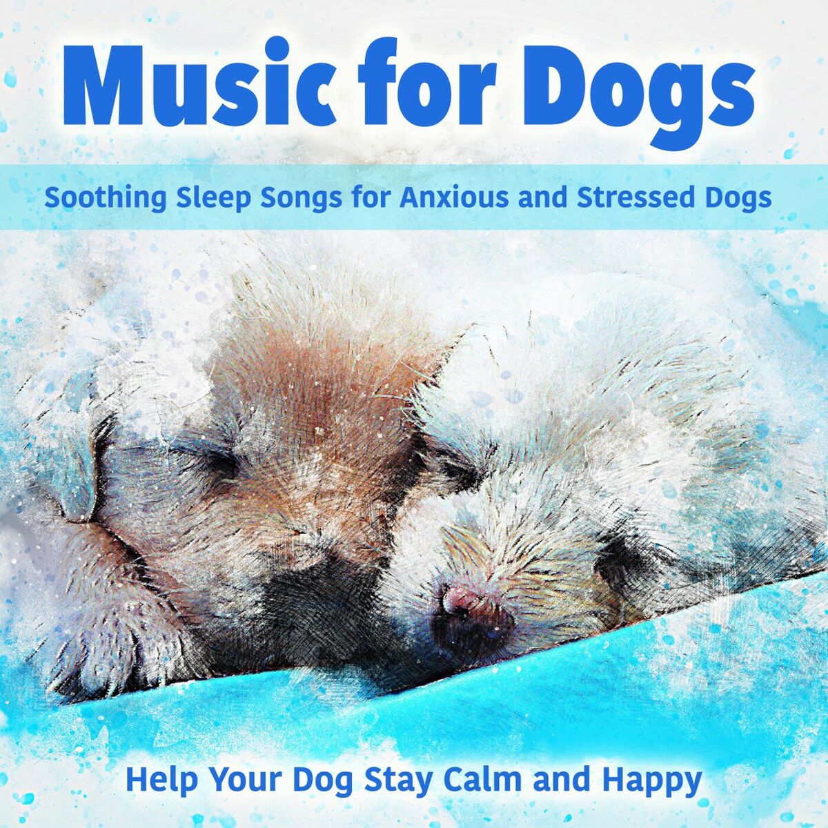 Album cover of Music for Dogs: Soothing Sleep Songs for Anxious and Stressed Dogs - Help Your Dog Stay Calm and