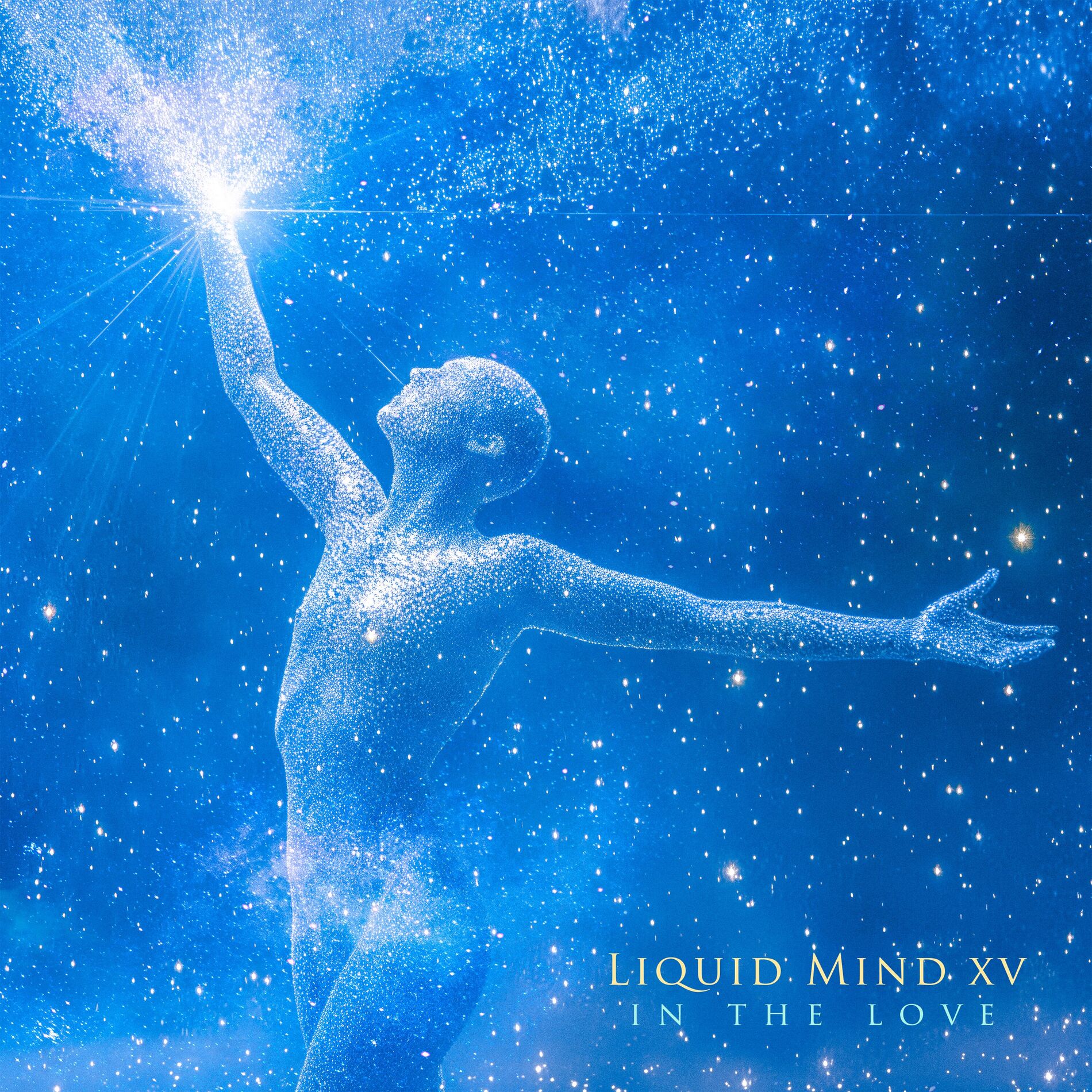 Album cover of Liquid Mind XV: In the Love