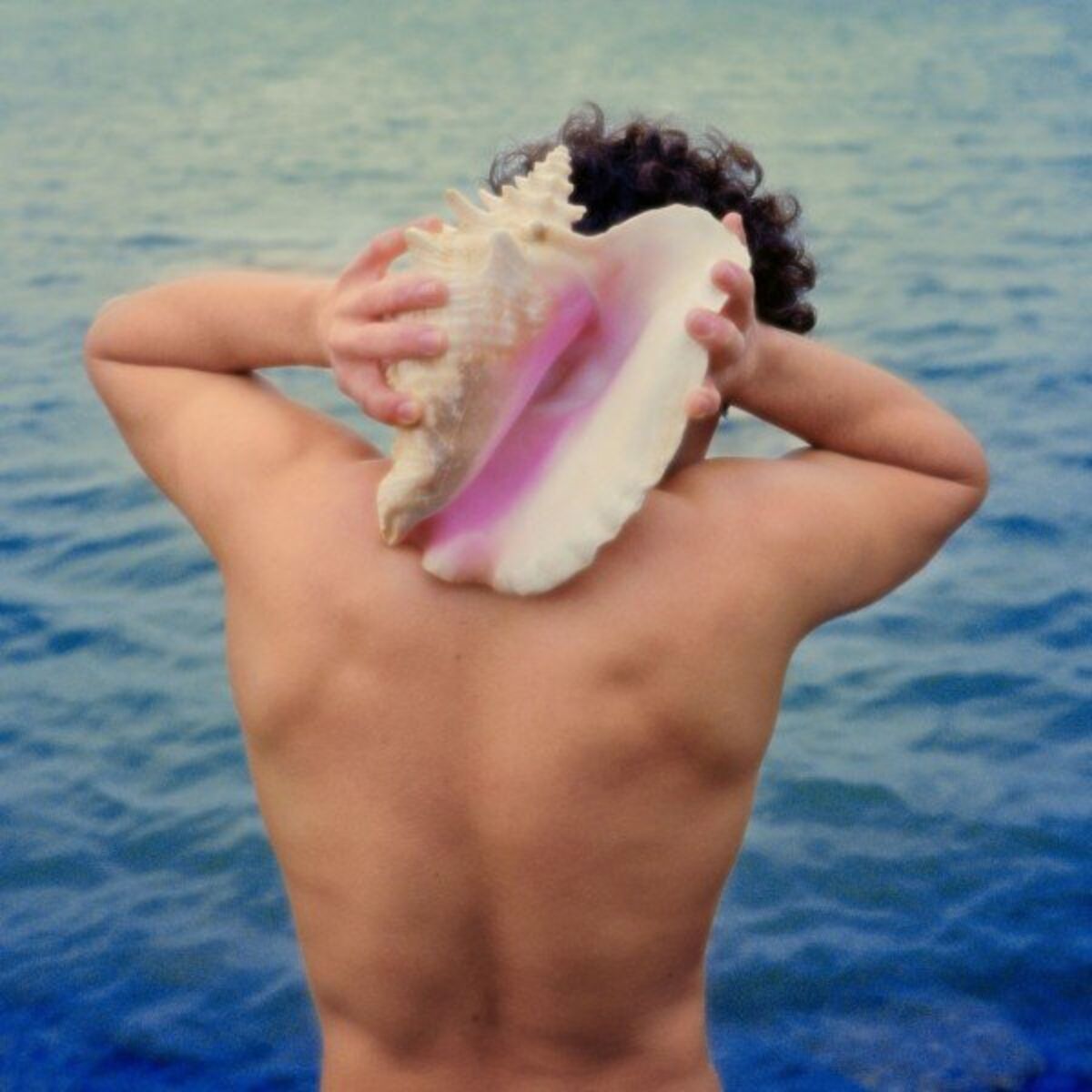 Album cover of Sub