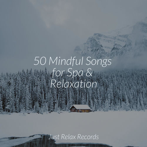 50 Mindful Songs for Spa & Relaxation