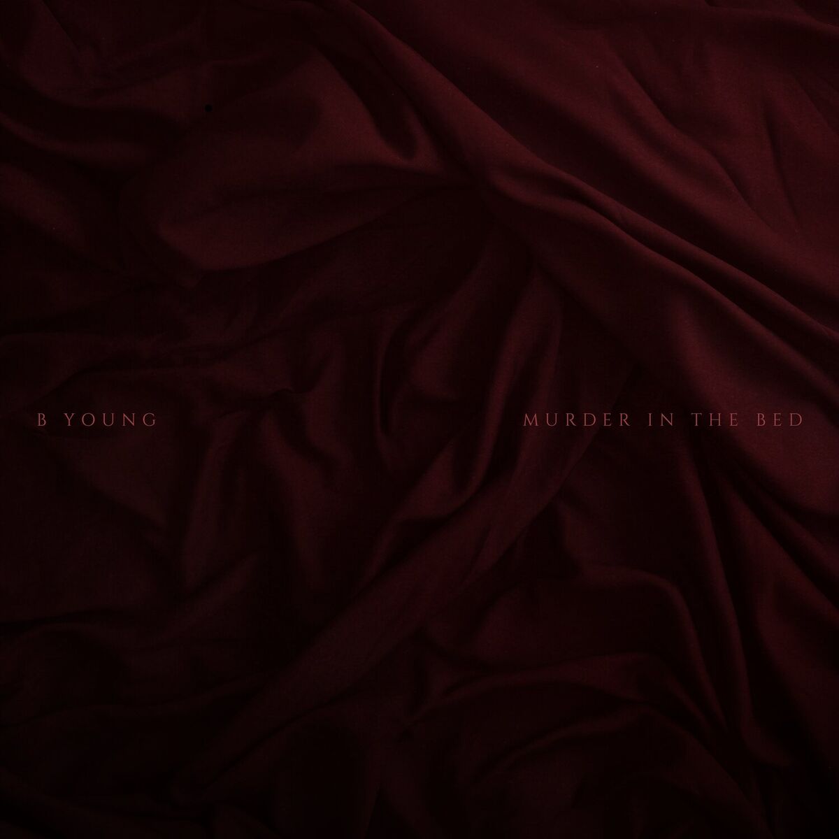 Album cover of MURDER IN THE BED