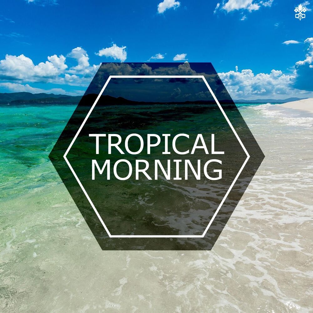 Picture of Tropical morning