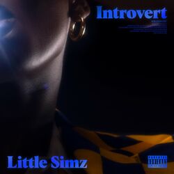 Cover of Introvert