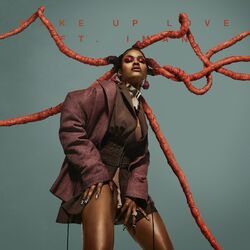 Cover of Wake Up Love