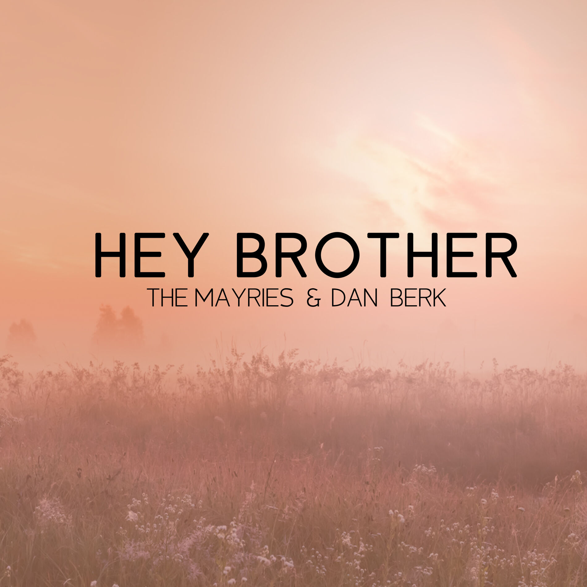 Album cover of Hey Brother