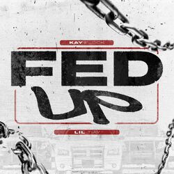 Cover of Fed Up
