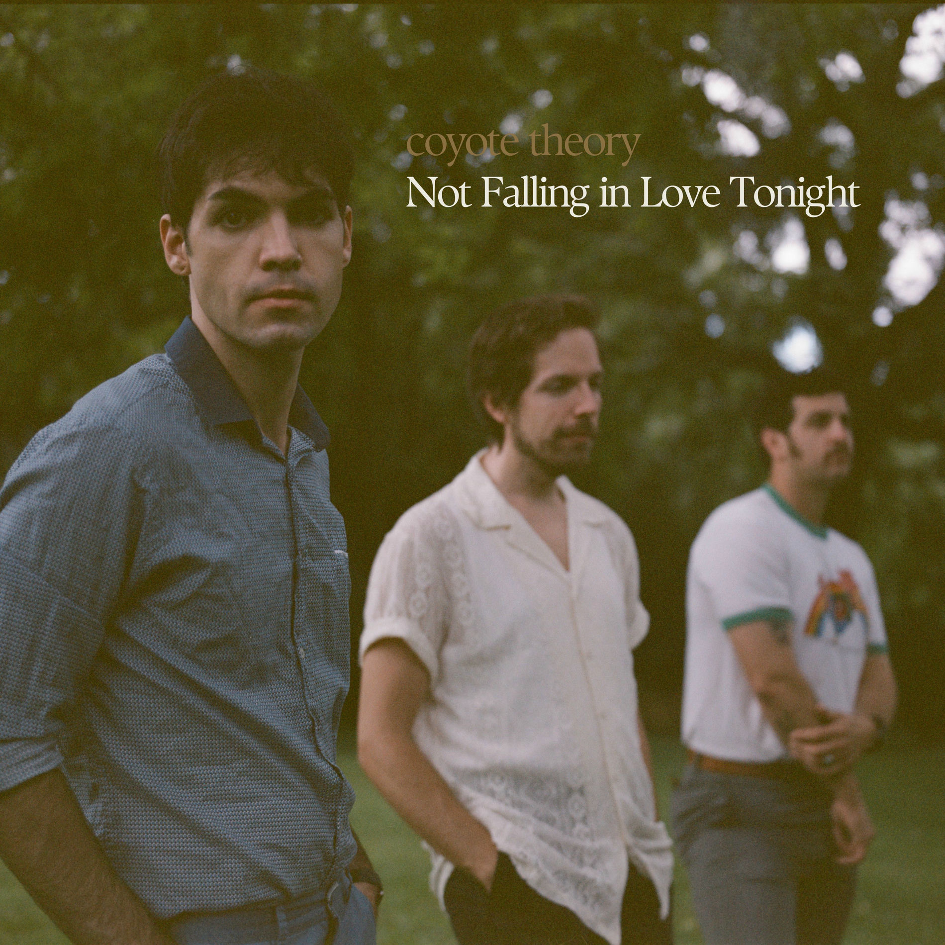 Album cover of Not Falling In Love Tonight