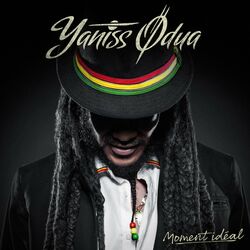 Cover of Moment idéal