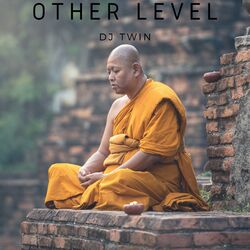 Cover of Other Level