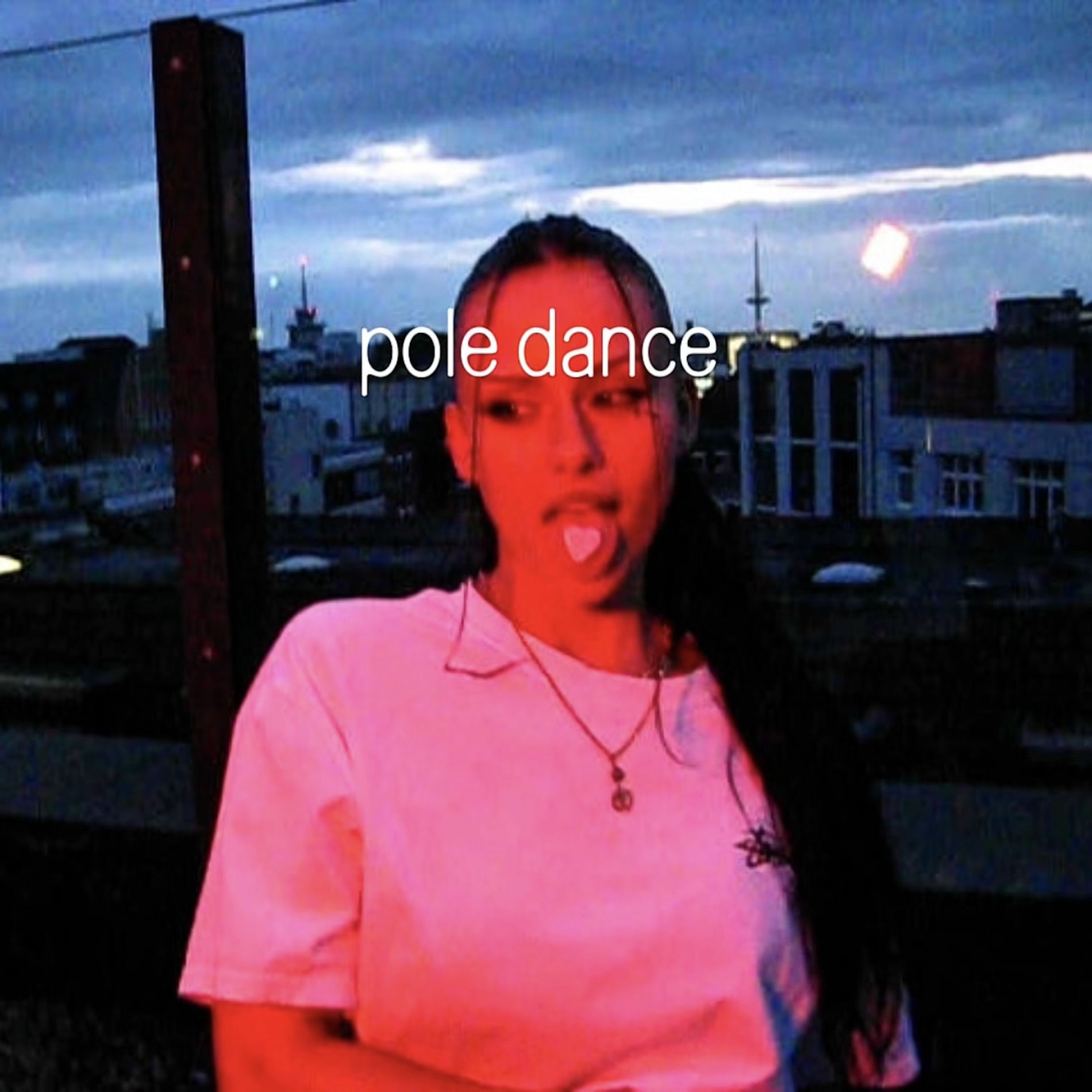 Album cover of Pole Dance