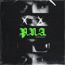 Cover of P.N.A.