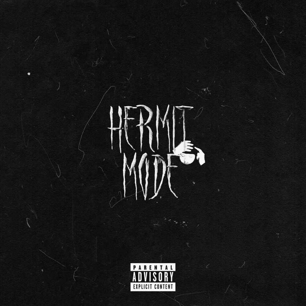 Picture of Hermit Mode