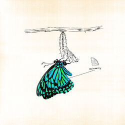 Cover of Butterfly
