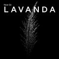 lavanda