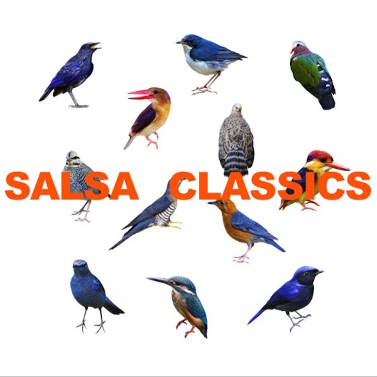 Album cover of Salsa Classics