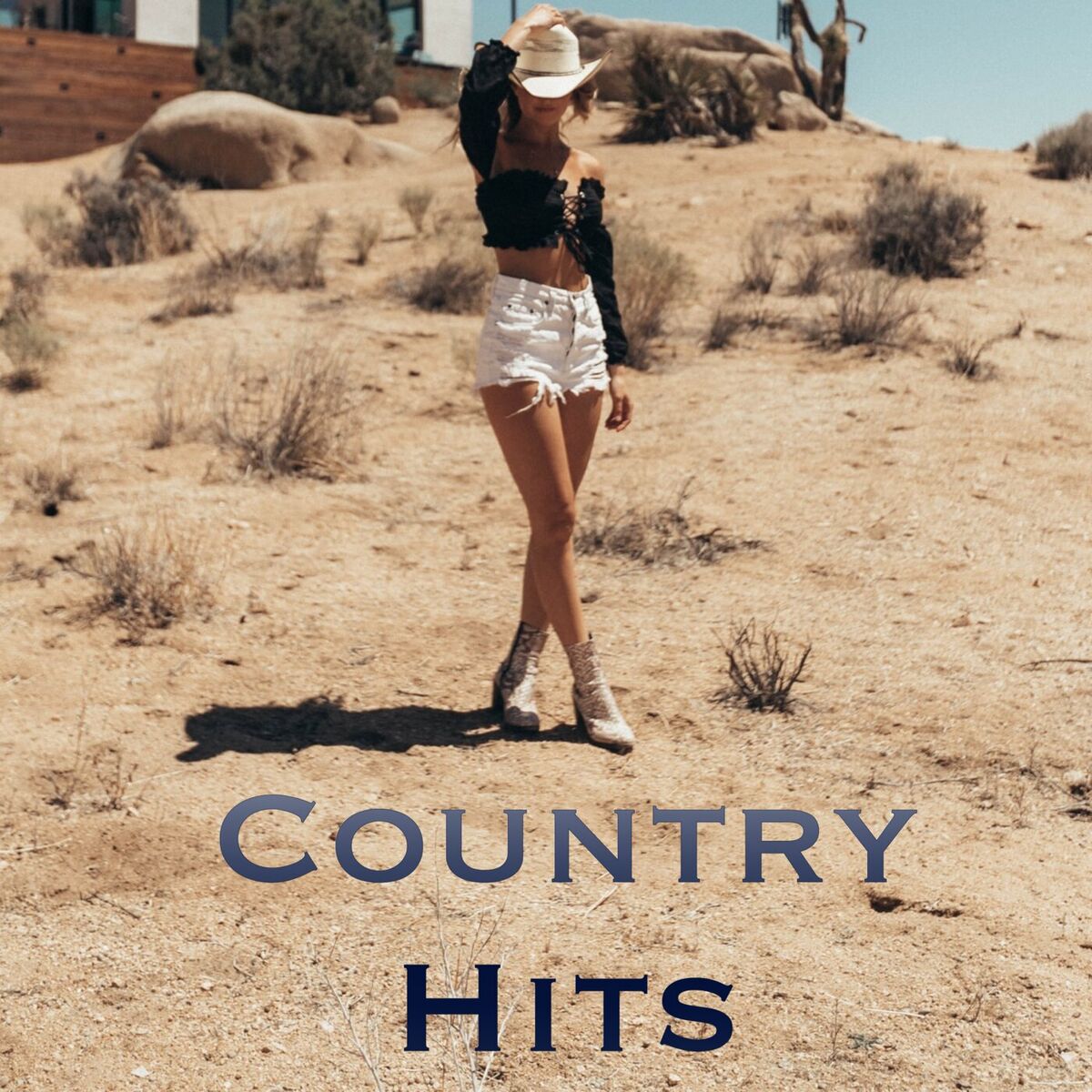 Album cover of God And Guns