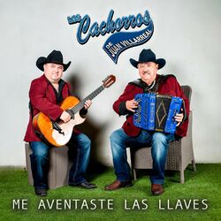 Cover of Me Aventaste las Llaves