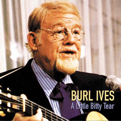 Cover of A Little Bitty Tear