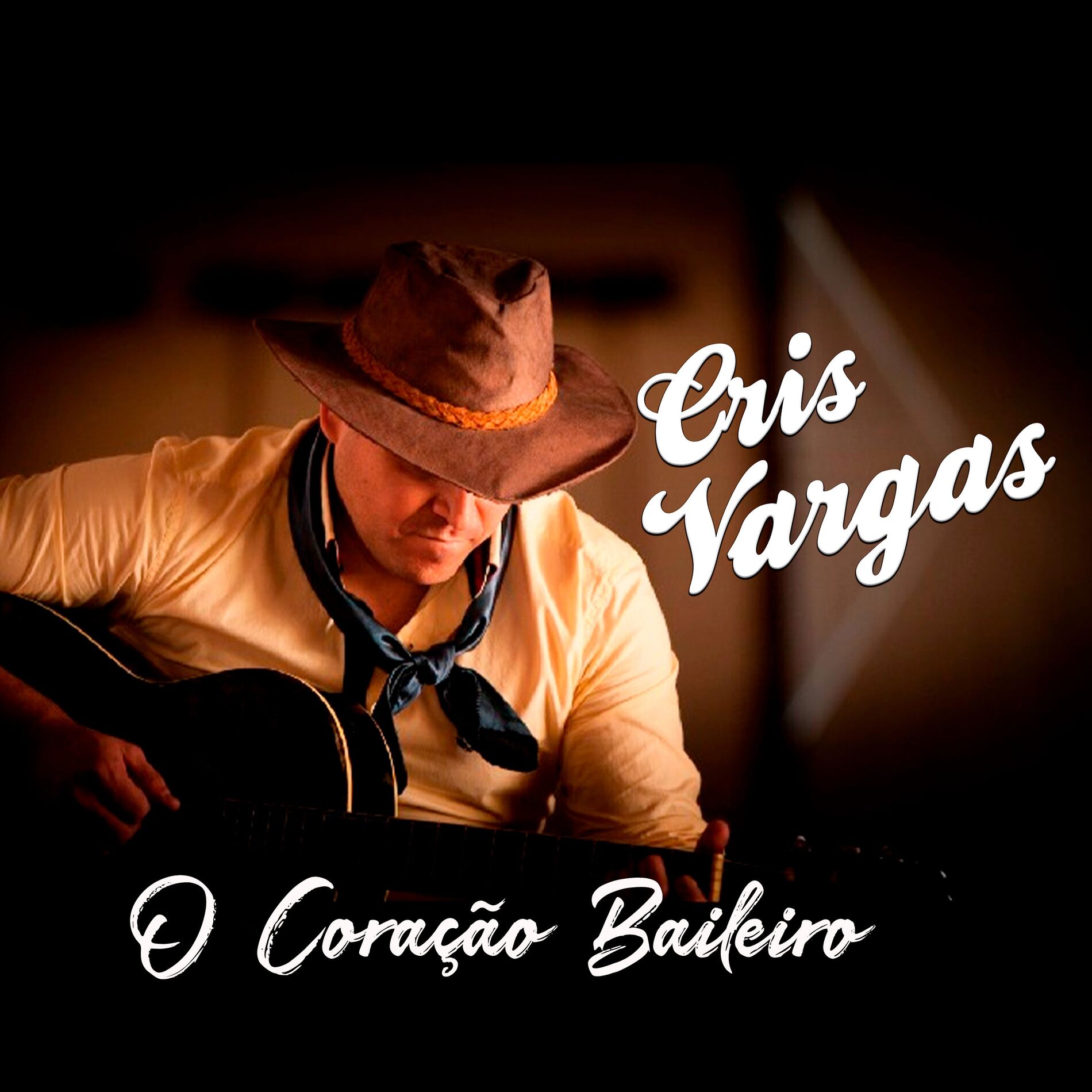 Album cover of O Coração Baileiro