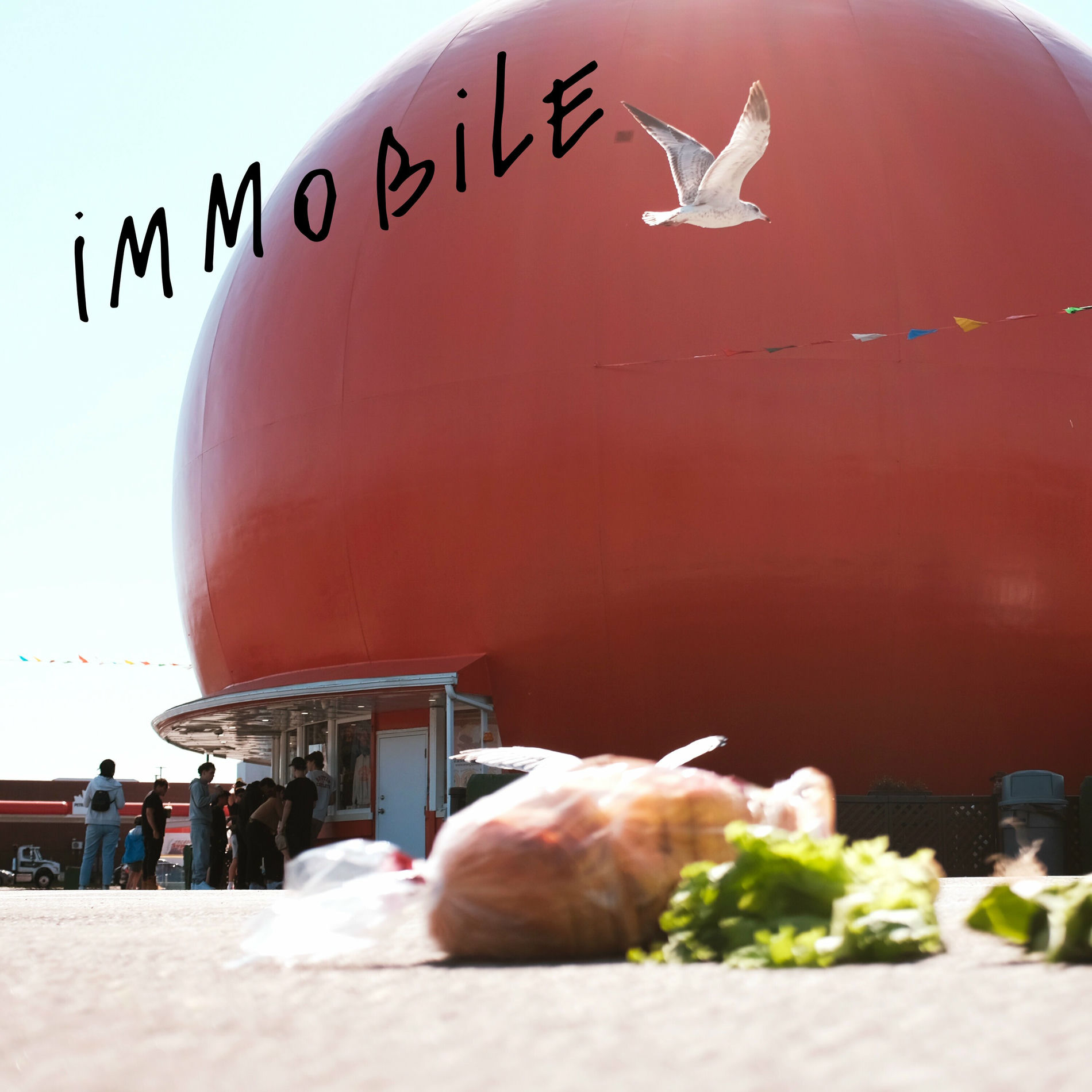 Album cover of Immobile