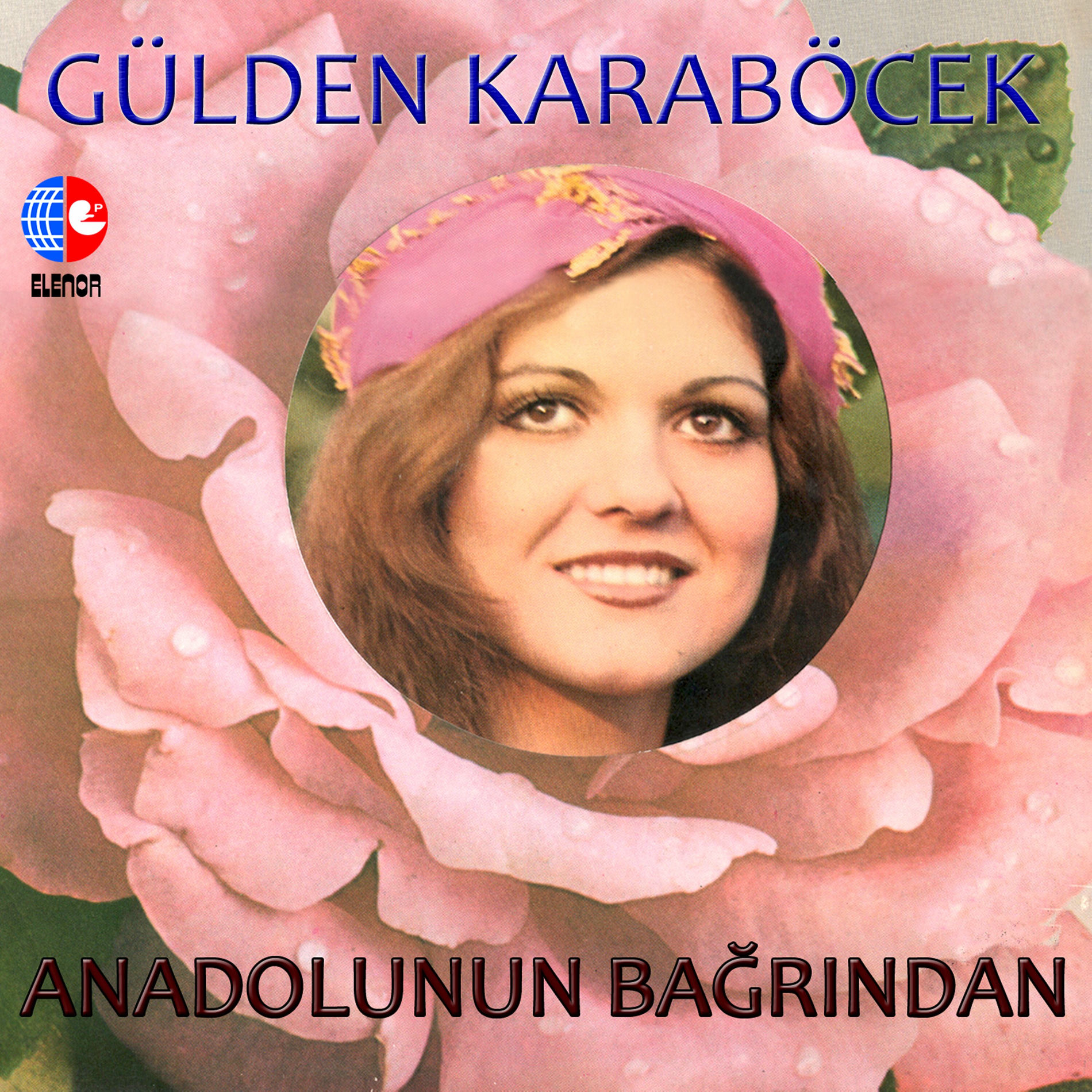 Album cover of Allı Turnam