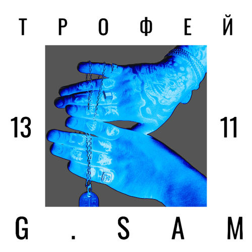 Трофей 1311