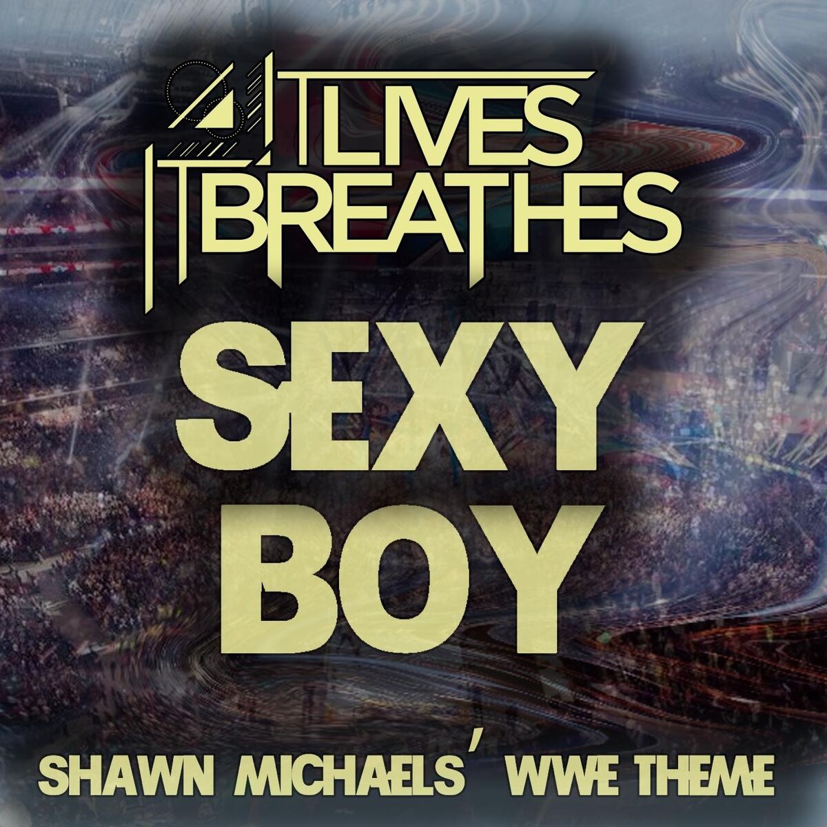 Album cover of Sexy Boy (Shawn Michaels' Wwe Theme)