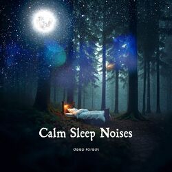 Cover of Calm Sleep Noises