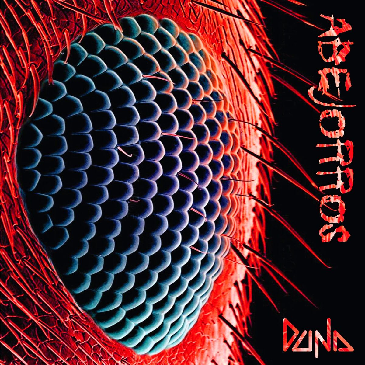 Album cover of Abejorros