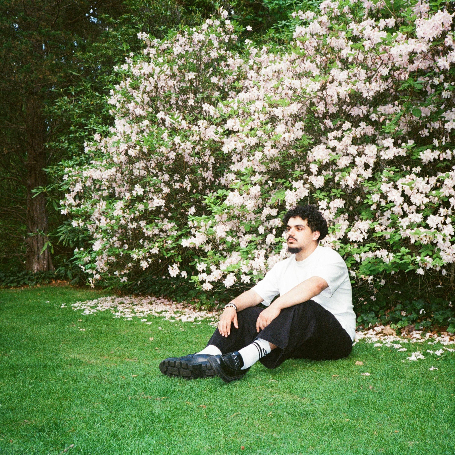 Album cover of food for thought vol. 2