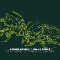 Cover of Roar Remix / Aufstand der Massen