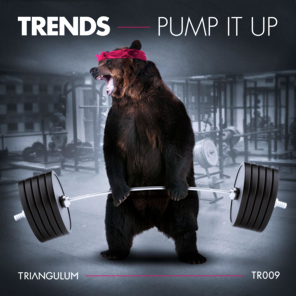 Picture of Pump It Up