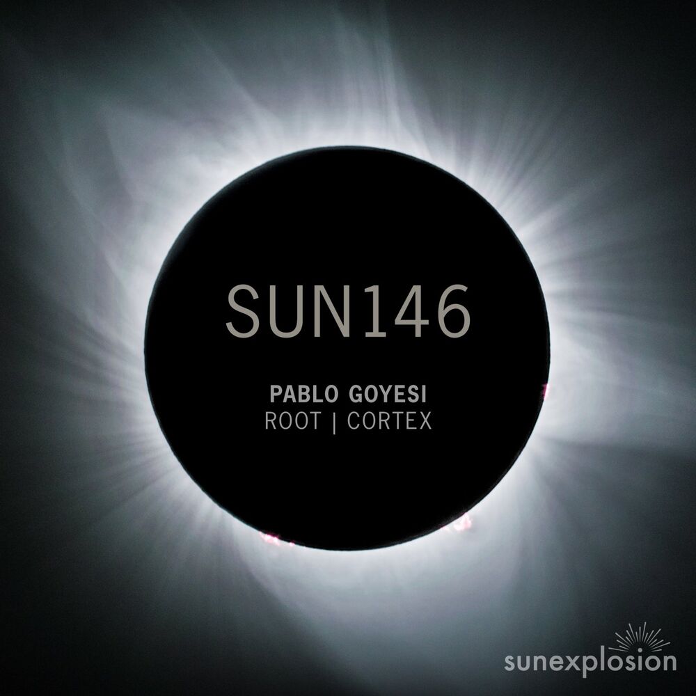 Picture of Root | Cortex