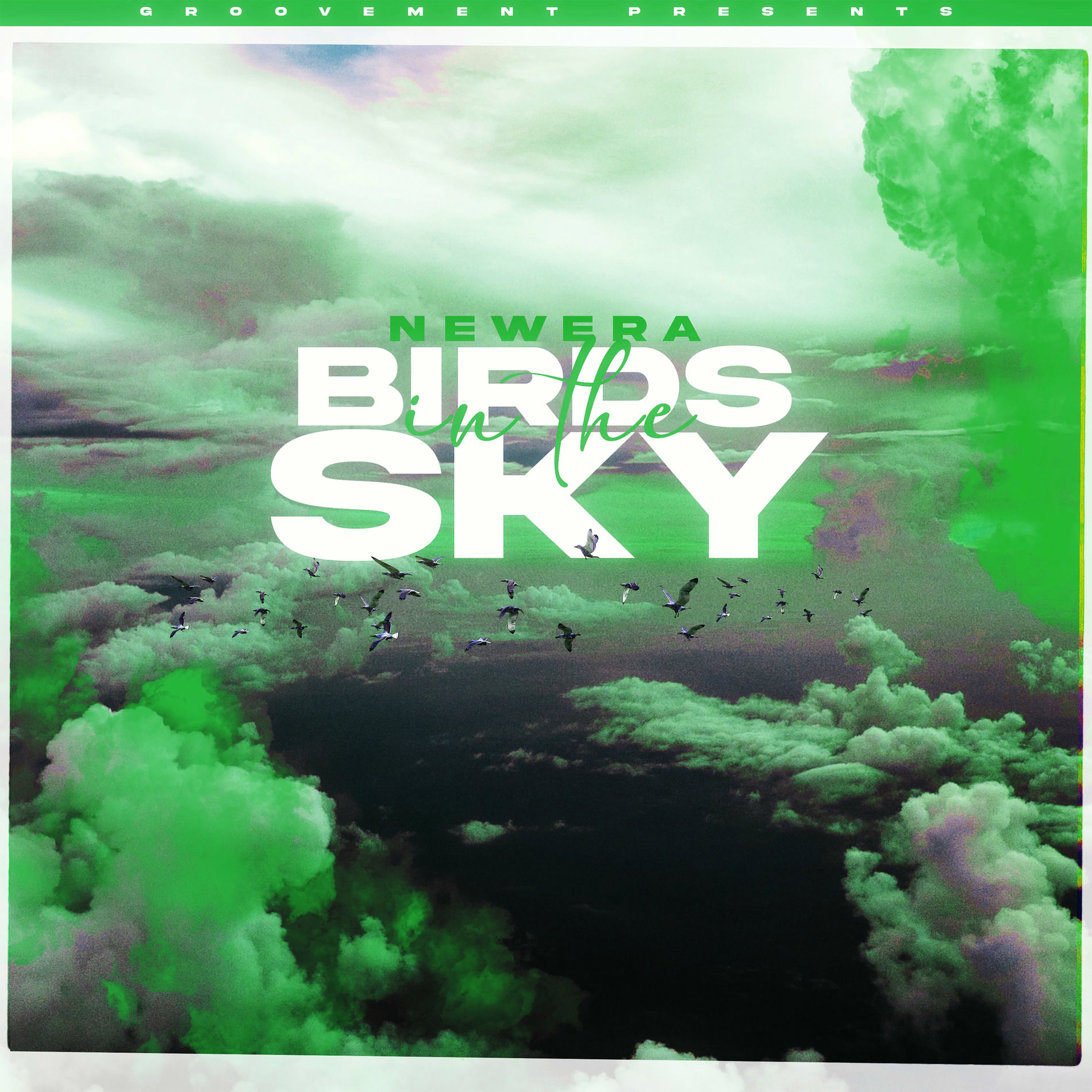 Album cover of Birds In The Sky