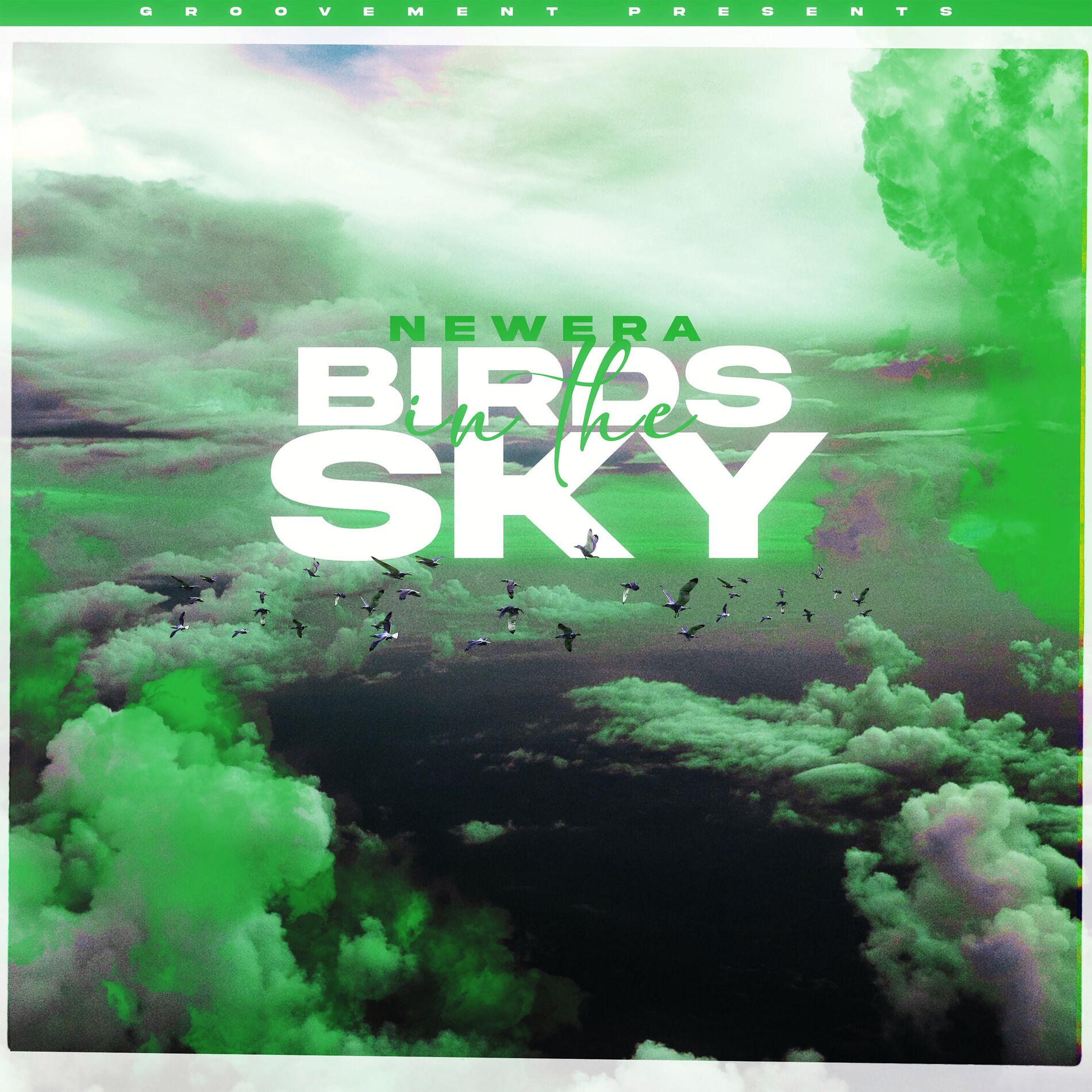 Album cover of Birds In The Sky (Sam Green Remix)
