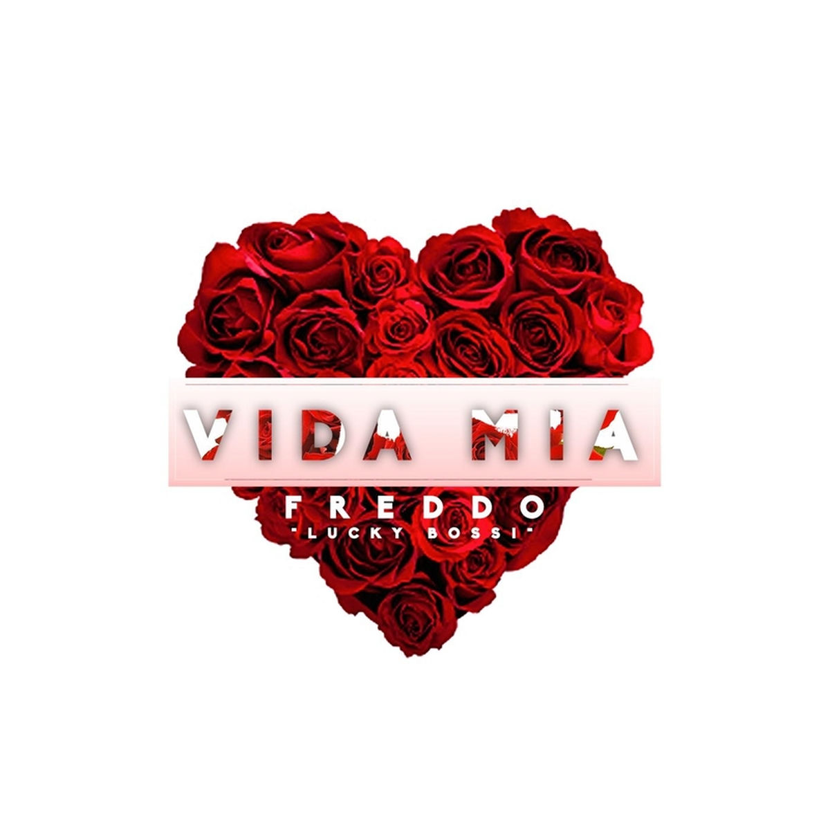 Album cover of Vida Mia