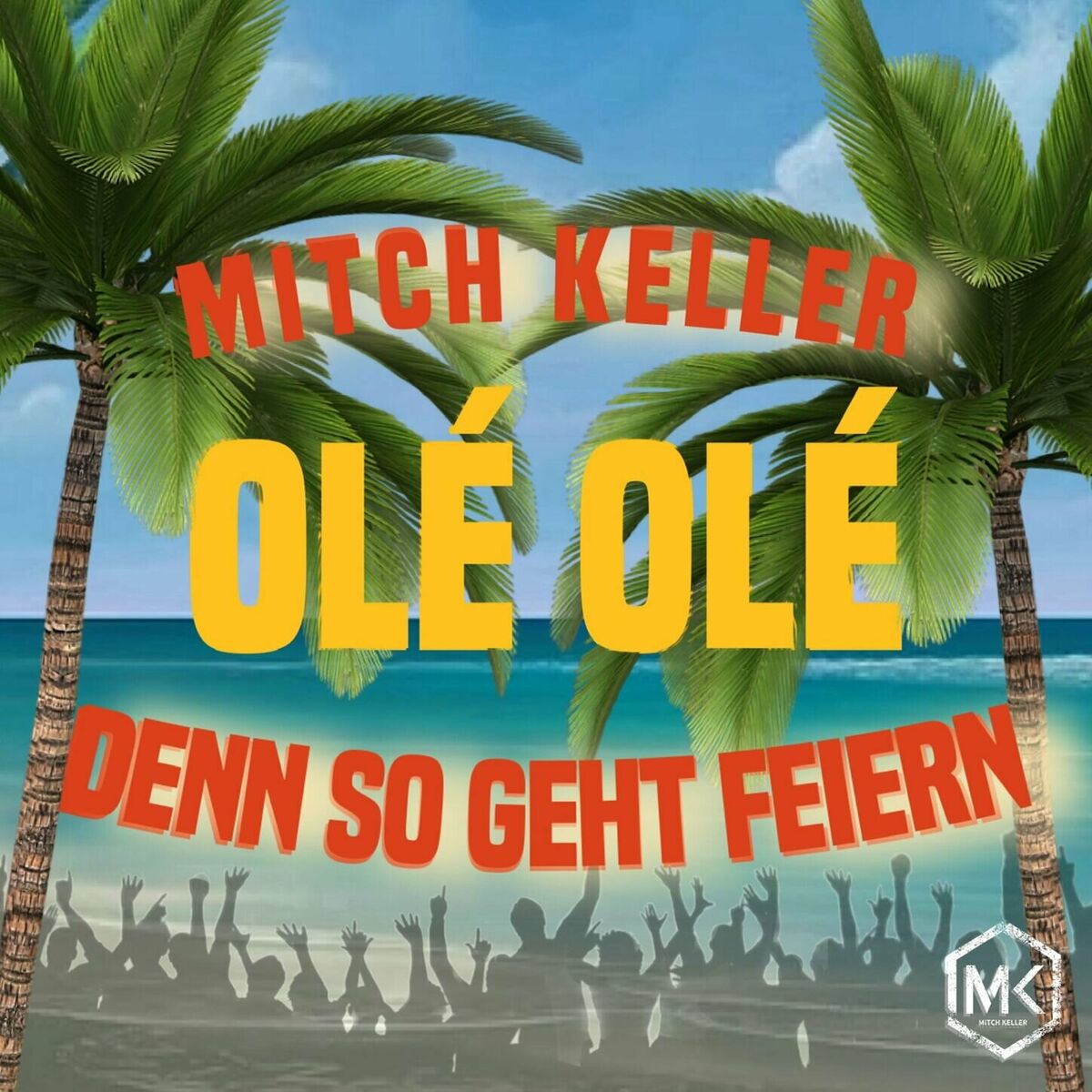 Album cover of Ole Ole - Denn so geht feiern (Radio Version)