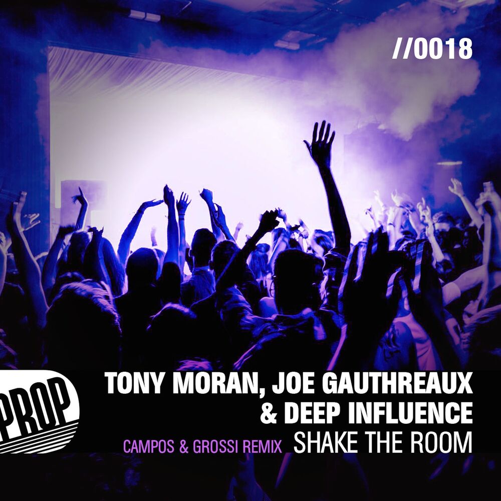 Picture of Shake the Room (Campos & Grossi Remix)