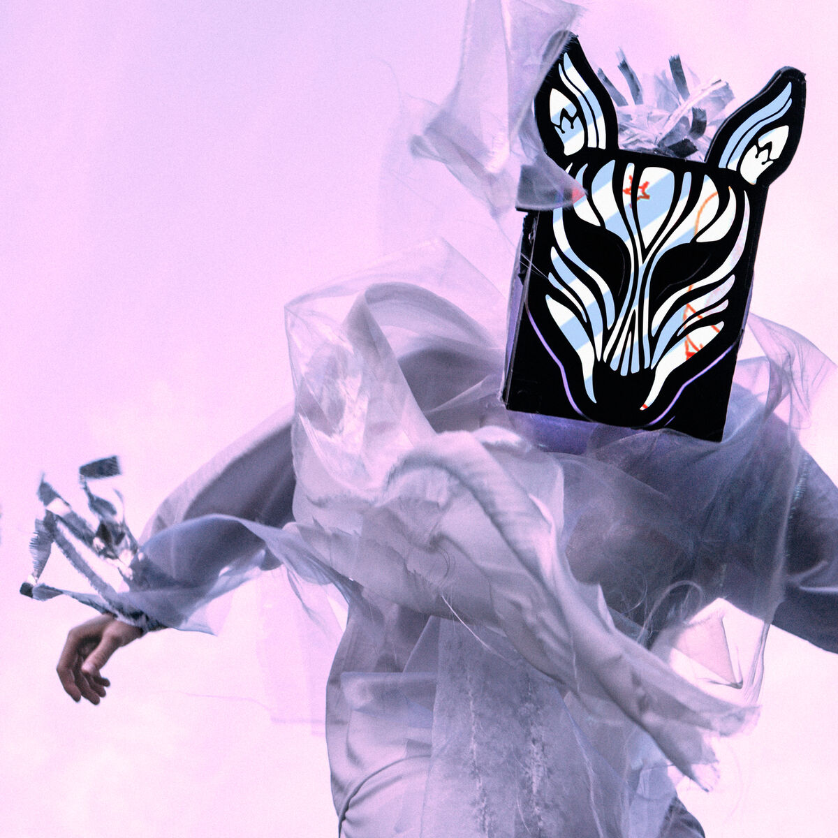 Album cover of Mind