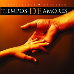 Cover of Tiempos De Amores