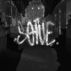 Cover of SOLVE