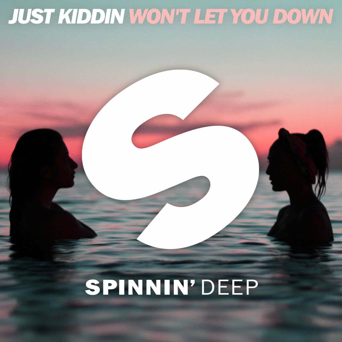 Album cover of Won't Let You Down
