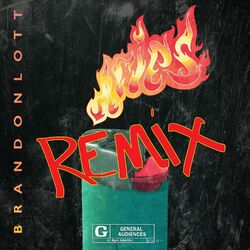 Cover of Aries (Remix)