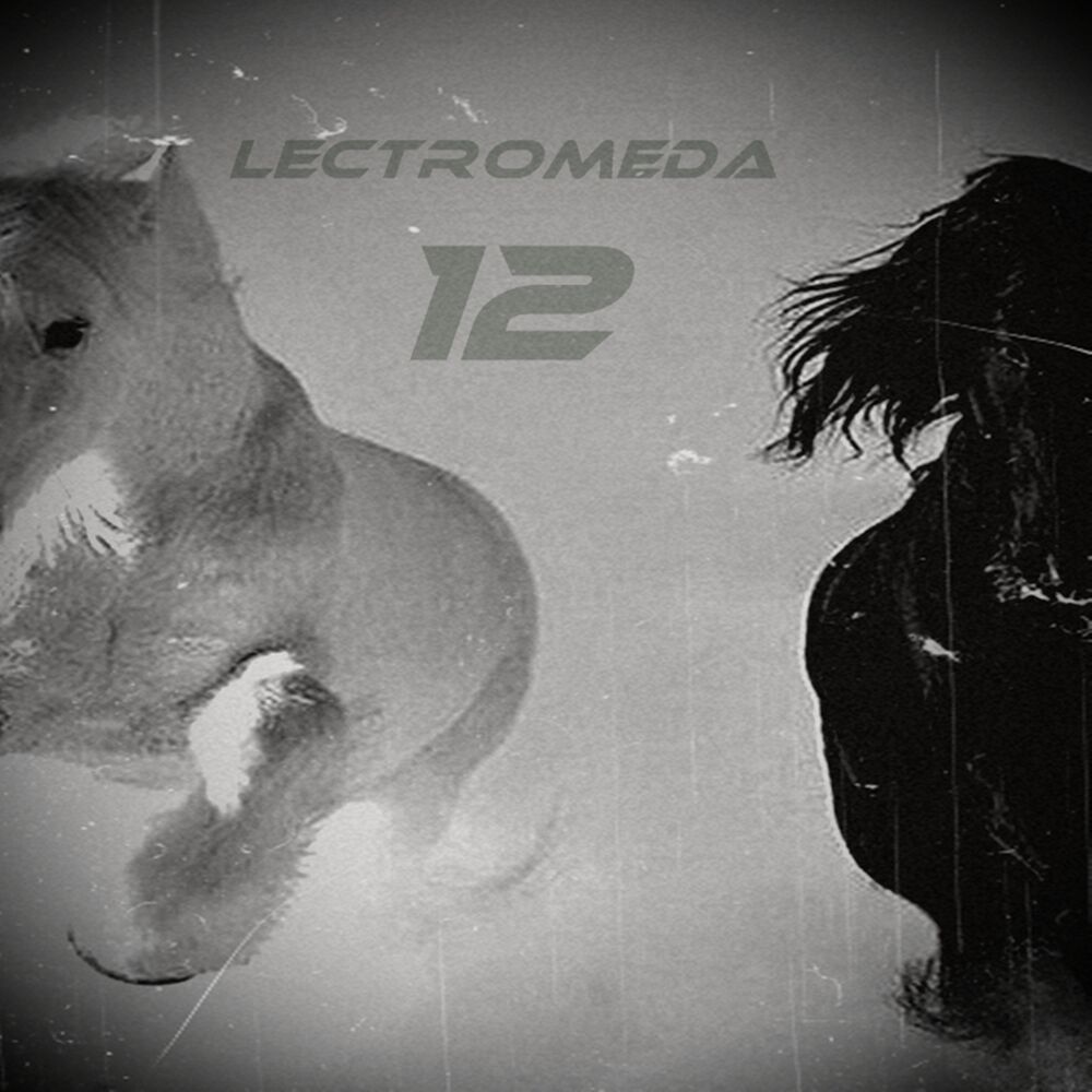 Picture of Lectromeda 12