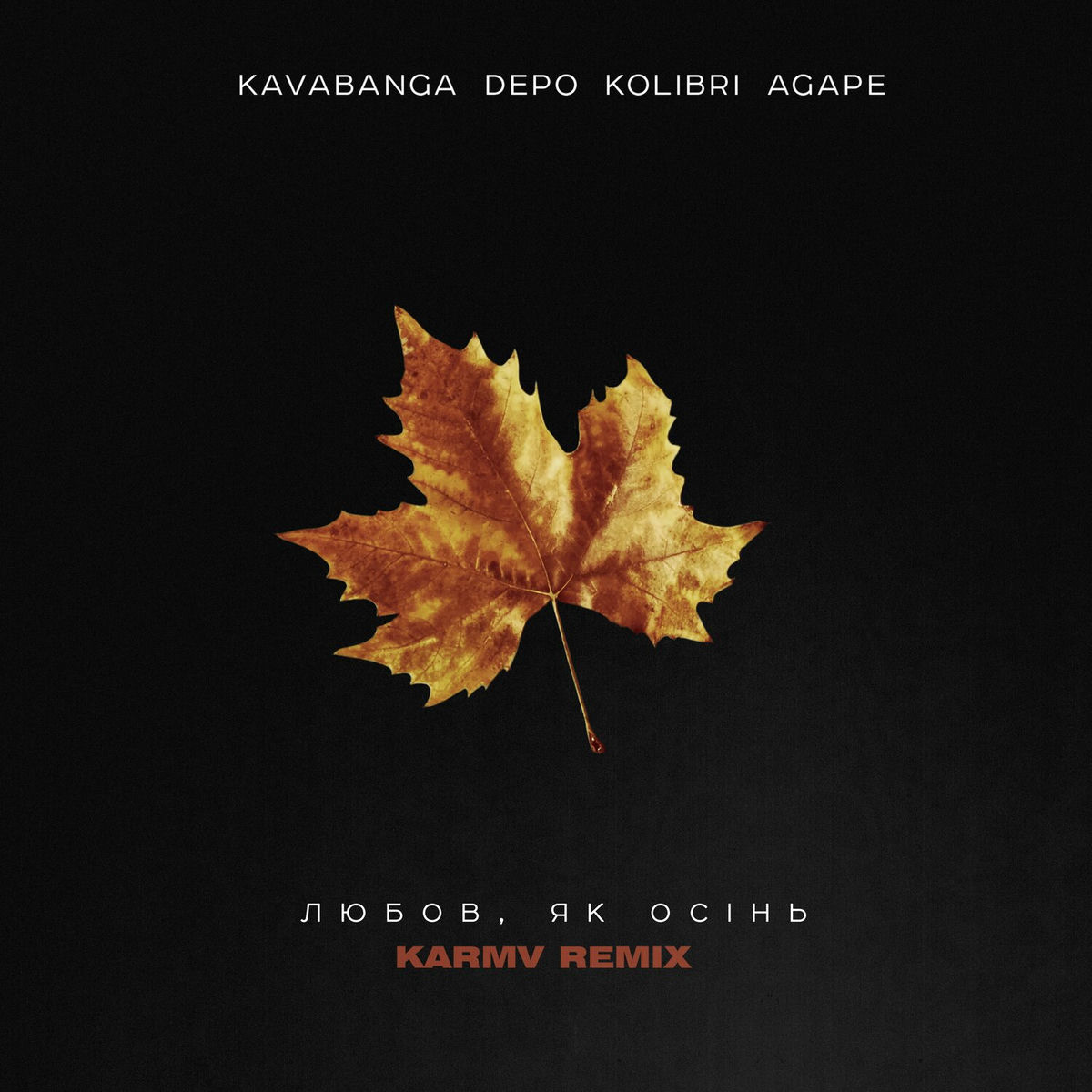Album cover of Любов, як осiнь (Karmv Remix)