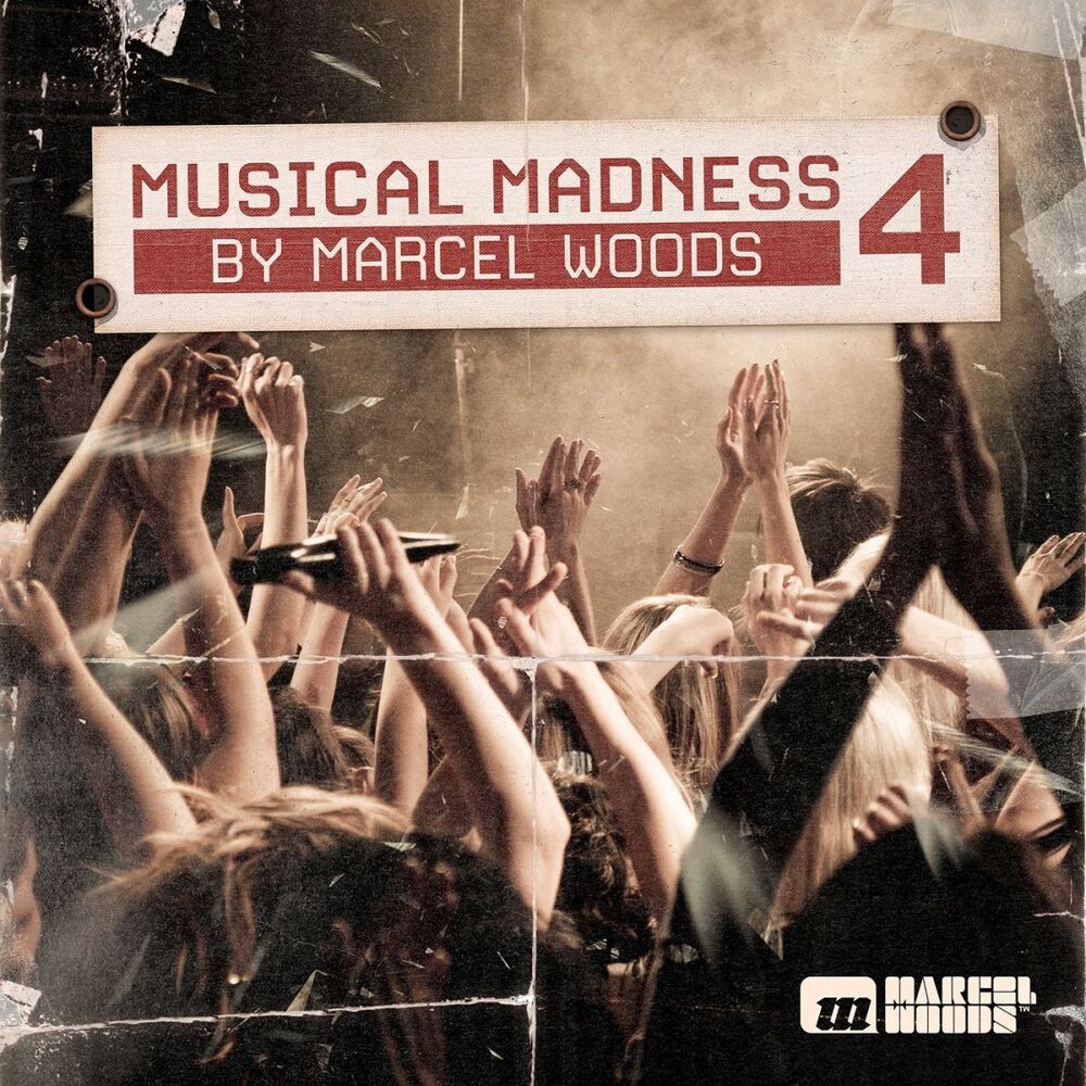 Picture of Musical Madness 4