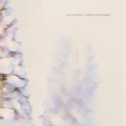 Cover of Anything could happen