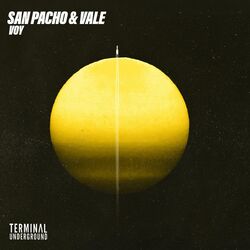 Cover of Voy